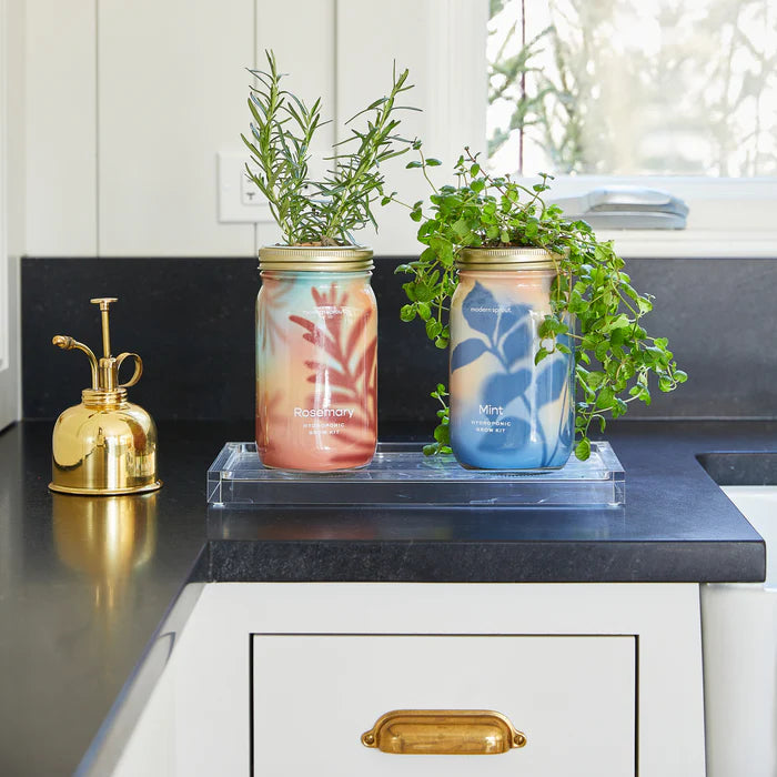Garden Jars - Hydroponic Herb Growing Kit