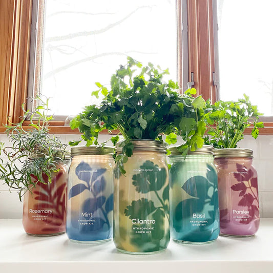 Garden Jars - Hydroponic Herb Growing Kit