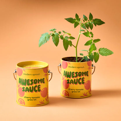 Complimentary Colours Grow Kit