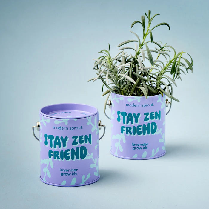 Complimentary Colours Grow Kit