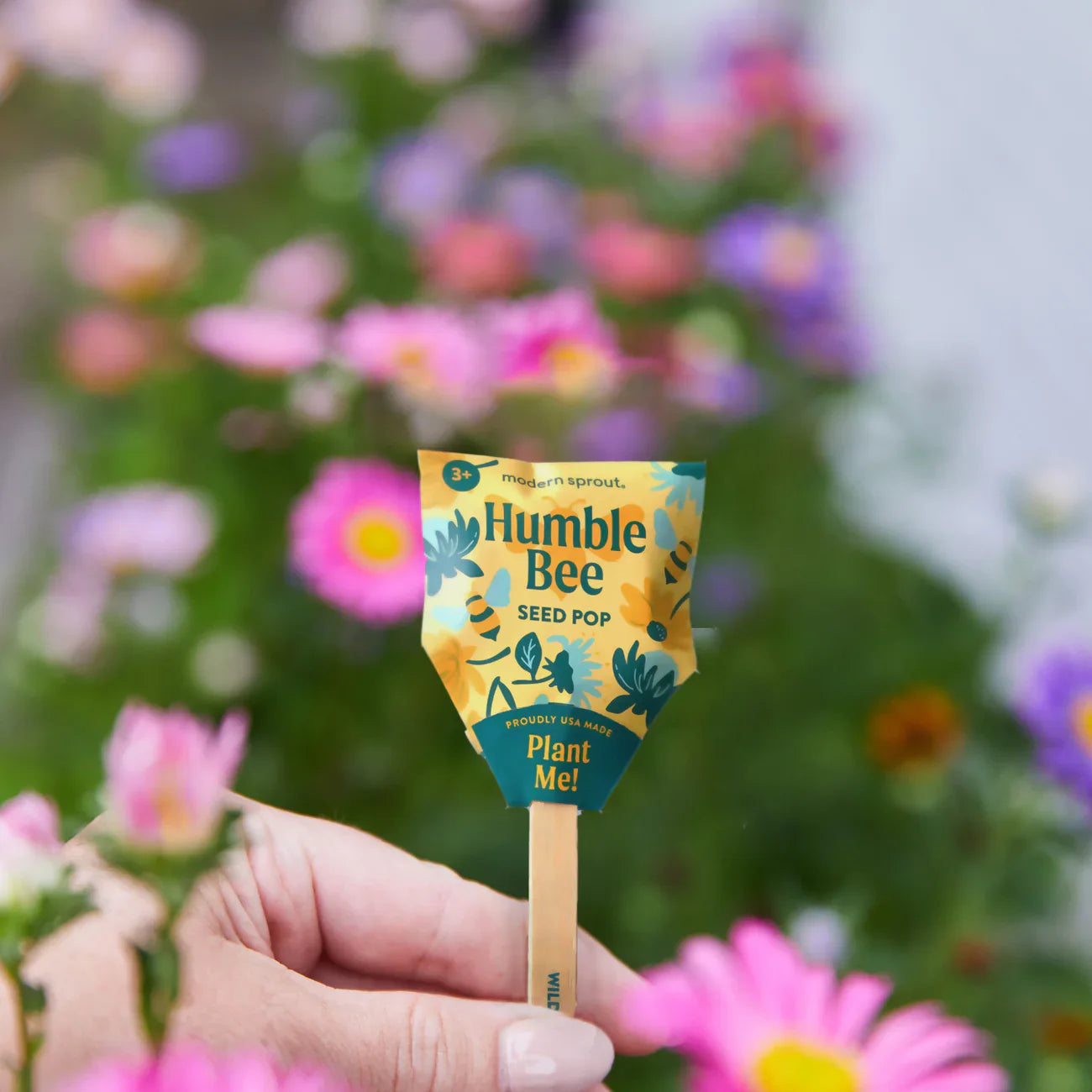 Pollinator Seed Pops