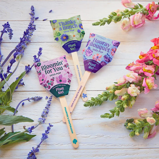 Seed Pops - Plantable Celebration Gift
