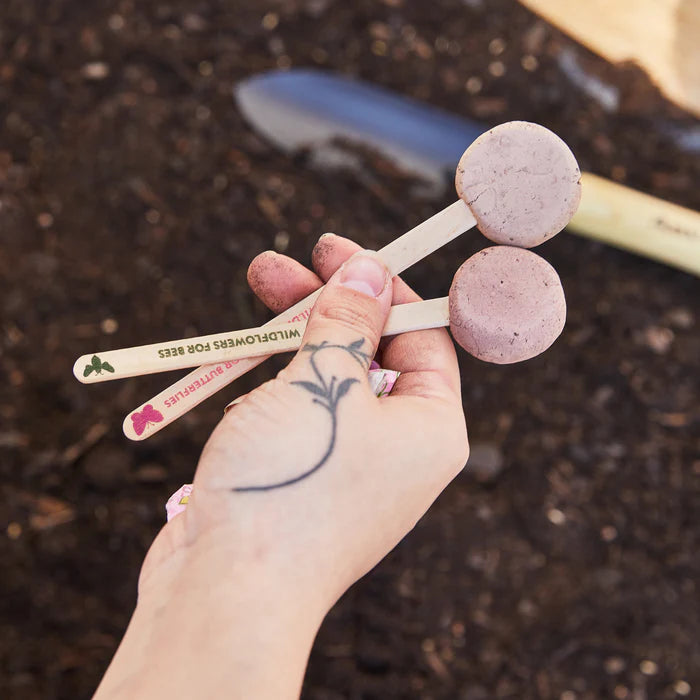 Seed Pops - Plantable Celebration Gift
