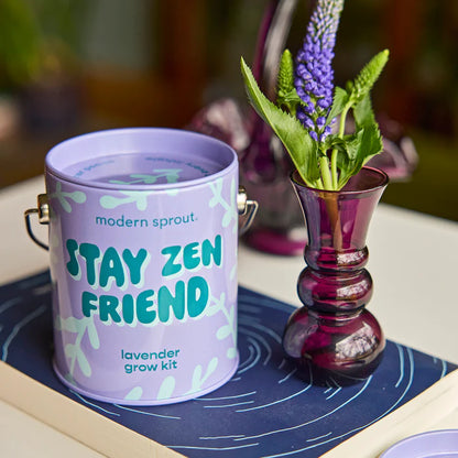 Complimentary Colours Grow Kit