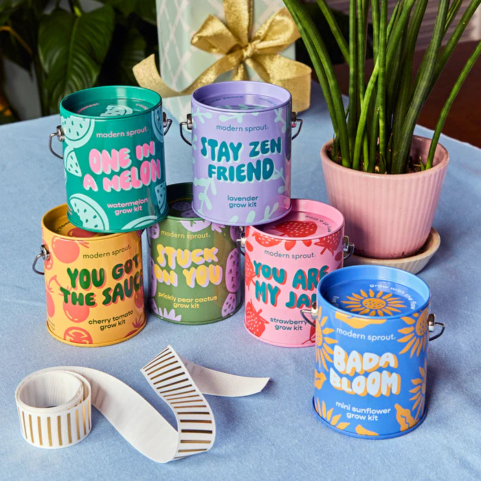 Complimentary Colours Grow Kit