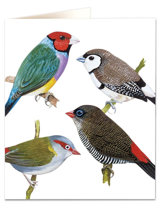 Finches Card