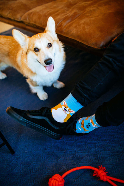 Playful Dog Crew Socks