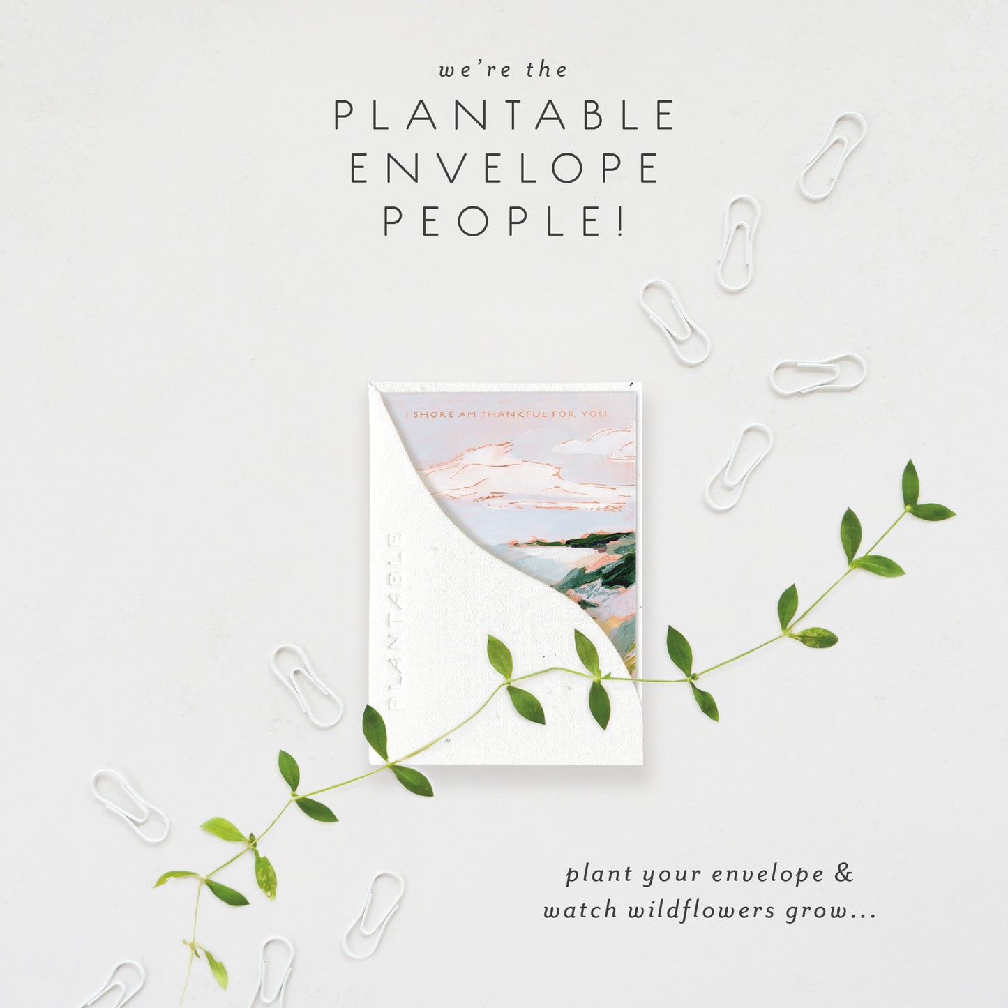 Shore Am Thankful Mini Greeting Card