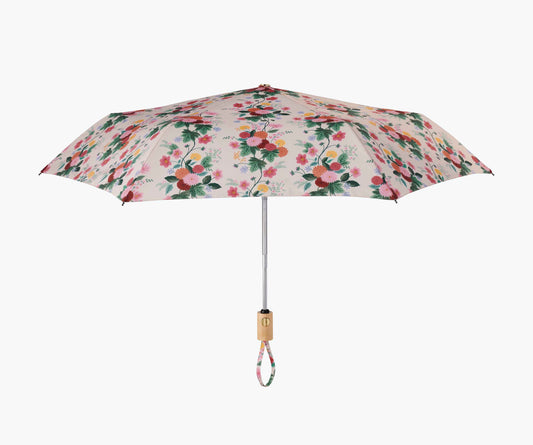 Dahlia Umbrella