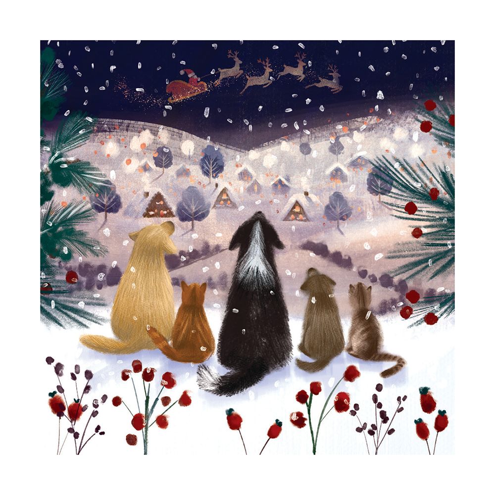 A Winter's Tail Boxed Holiday Cards