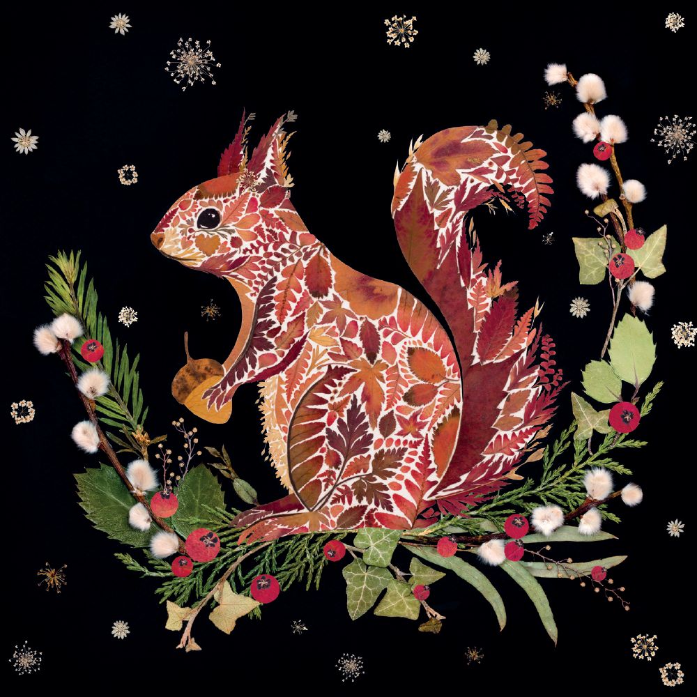Winter Wild Press Boxed Holiday Cards