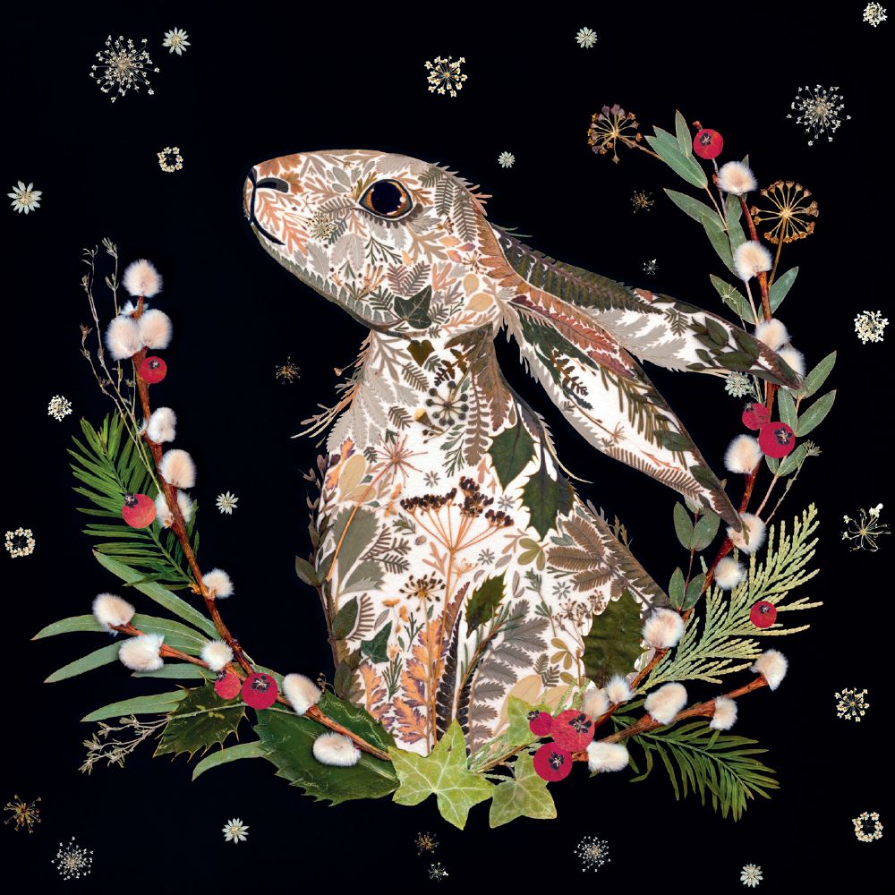 Winter Wild Press Boxed Holiday Cards