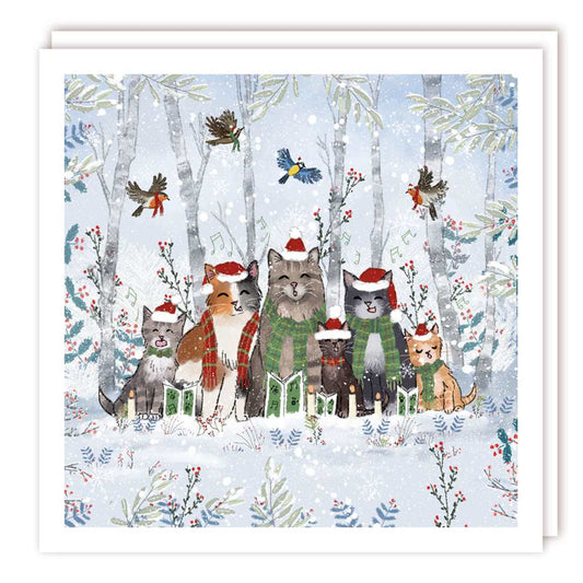 Cats Carolling Boxed Cards