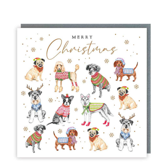 Dogs in Sweaters Christmas Boxed Cards