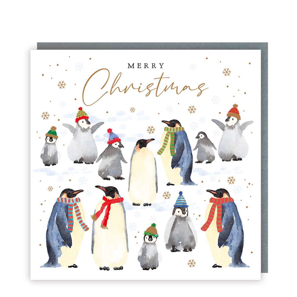 Penguin Party Christmas Boxed Cards