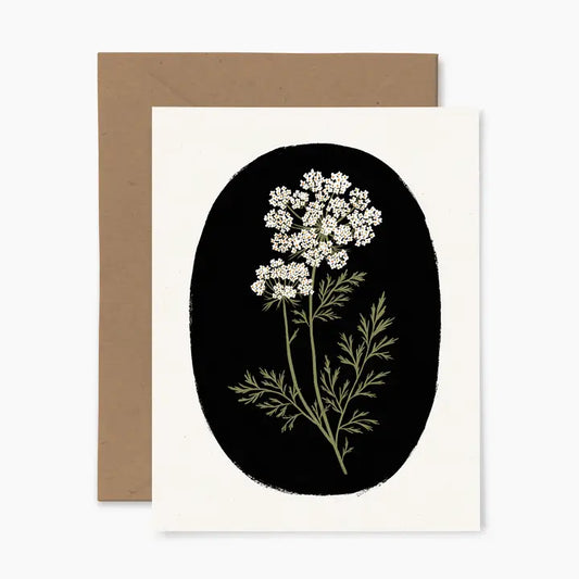 Wild Carrot Greeting Card