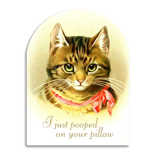 I Just Pooped on Your Pillow Funny Cat Lover Card