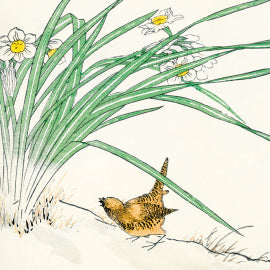 Japanese Wren And Daffodils Card