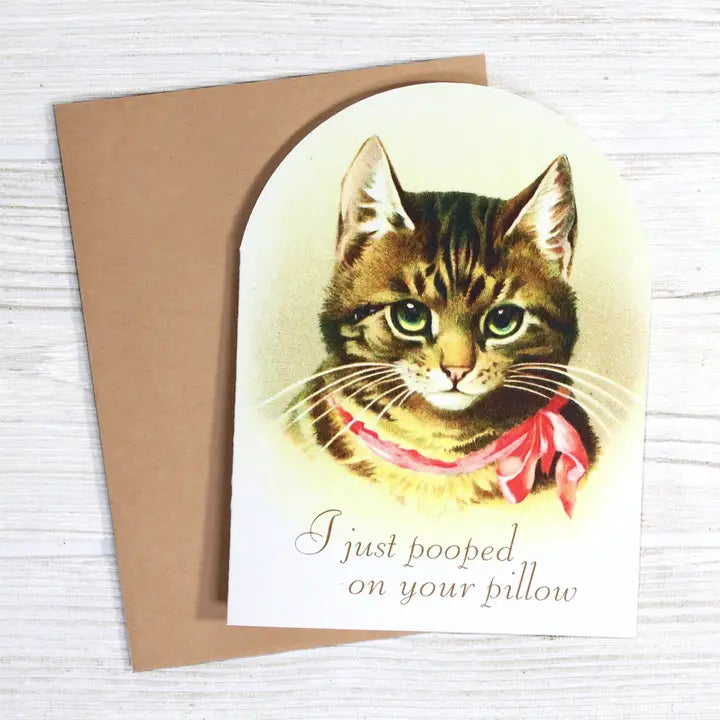 I Just Pooped on Your Pillow Funny Cat Lover Card