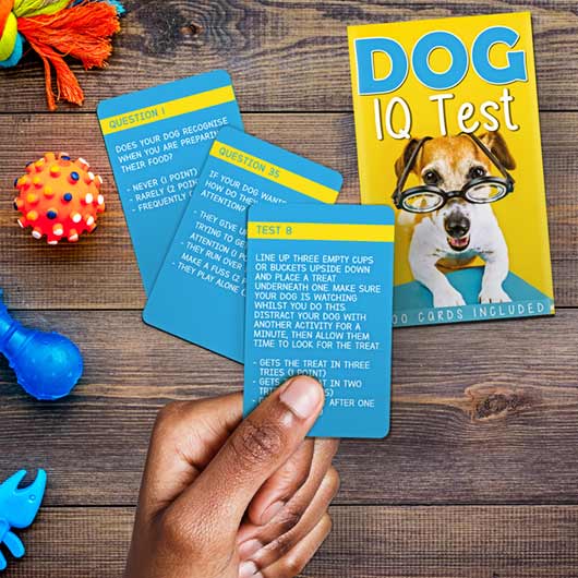 Dog IQ Test Game