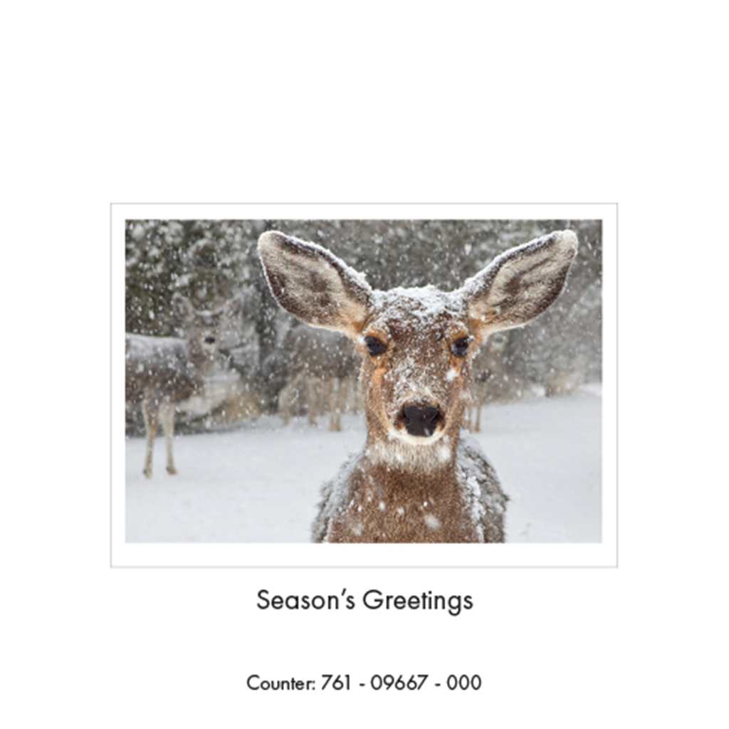 Deers in the Snow Christmas Card