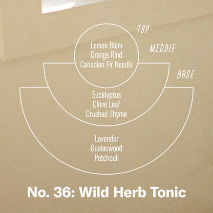 Wild Herb Tonic Reed Diffuser