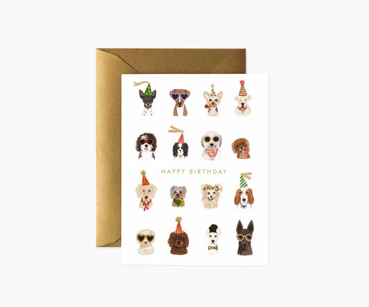 Party Pups Birthday Boxed Cards