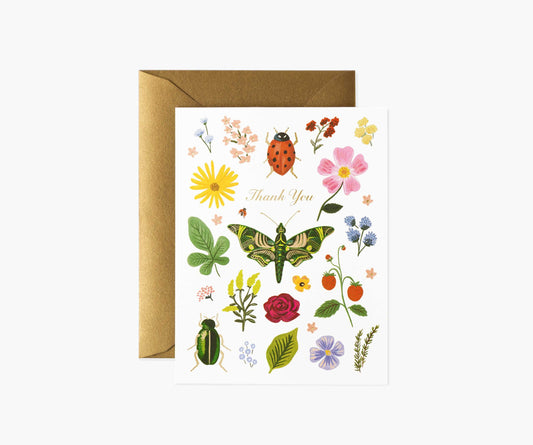 Curio Thank You Boxed Cards