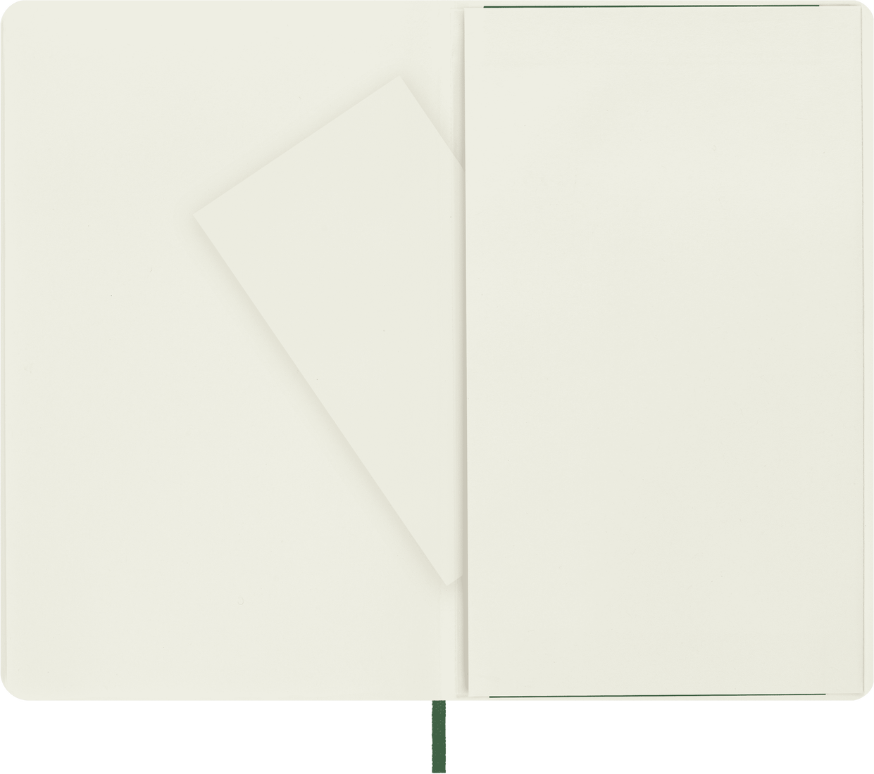 Classic Large Myrtle Green Soft Cover Plain Notebook