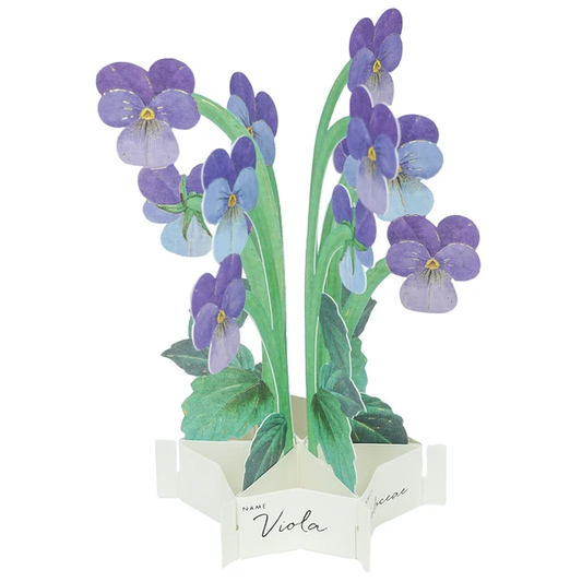 Pop-up 360 Mini Blooming Card Viola