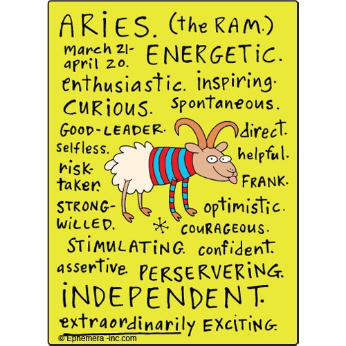 Aries Nice Magnet