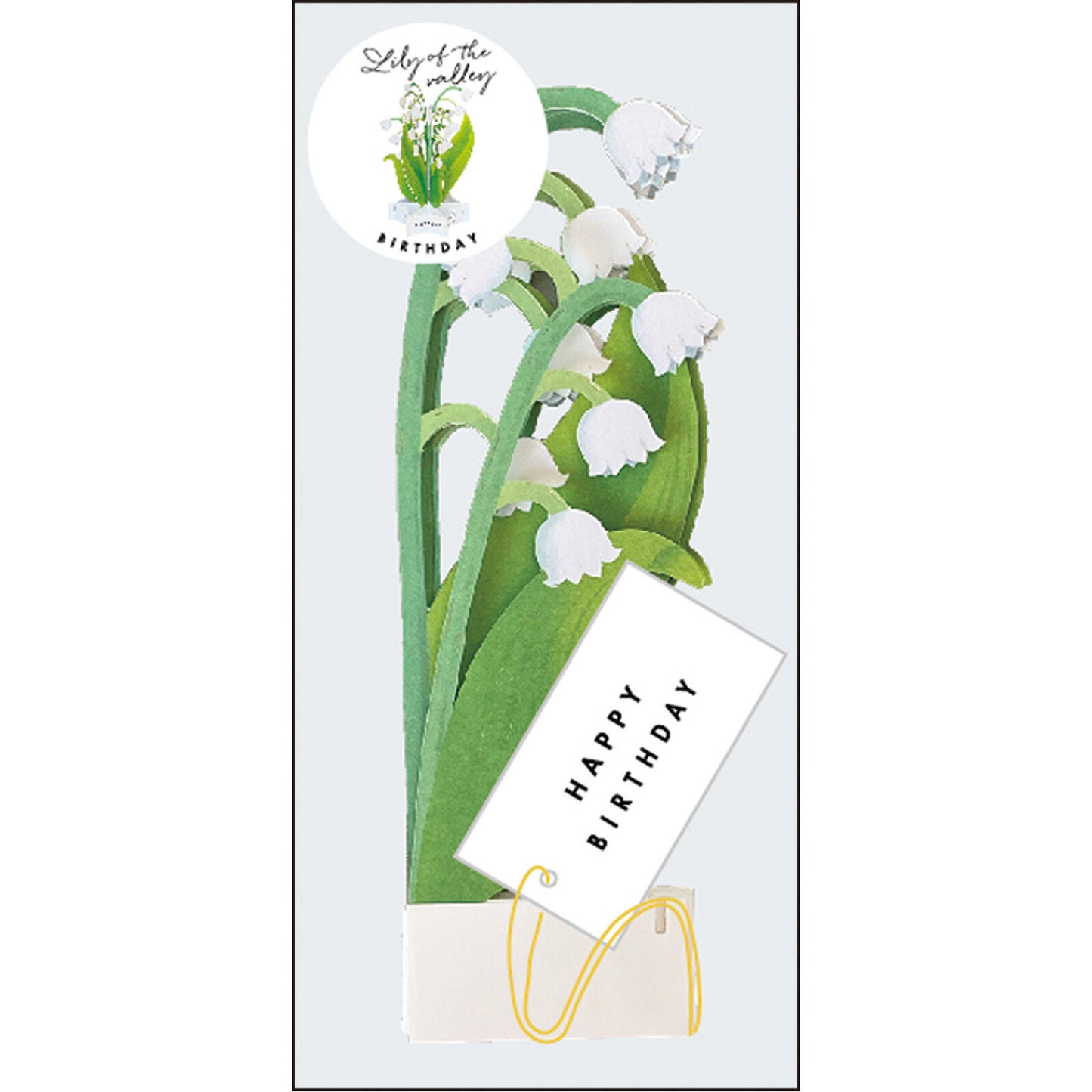 Pop-up 360 Blooming Card Lily Of The Valley
