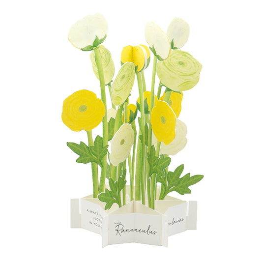 Pop-up 360 Blooming Card Yellow Ranunculus
