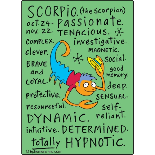 Scorpio Nice Magnet