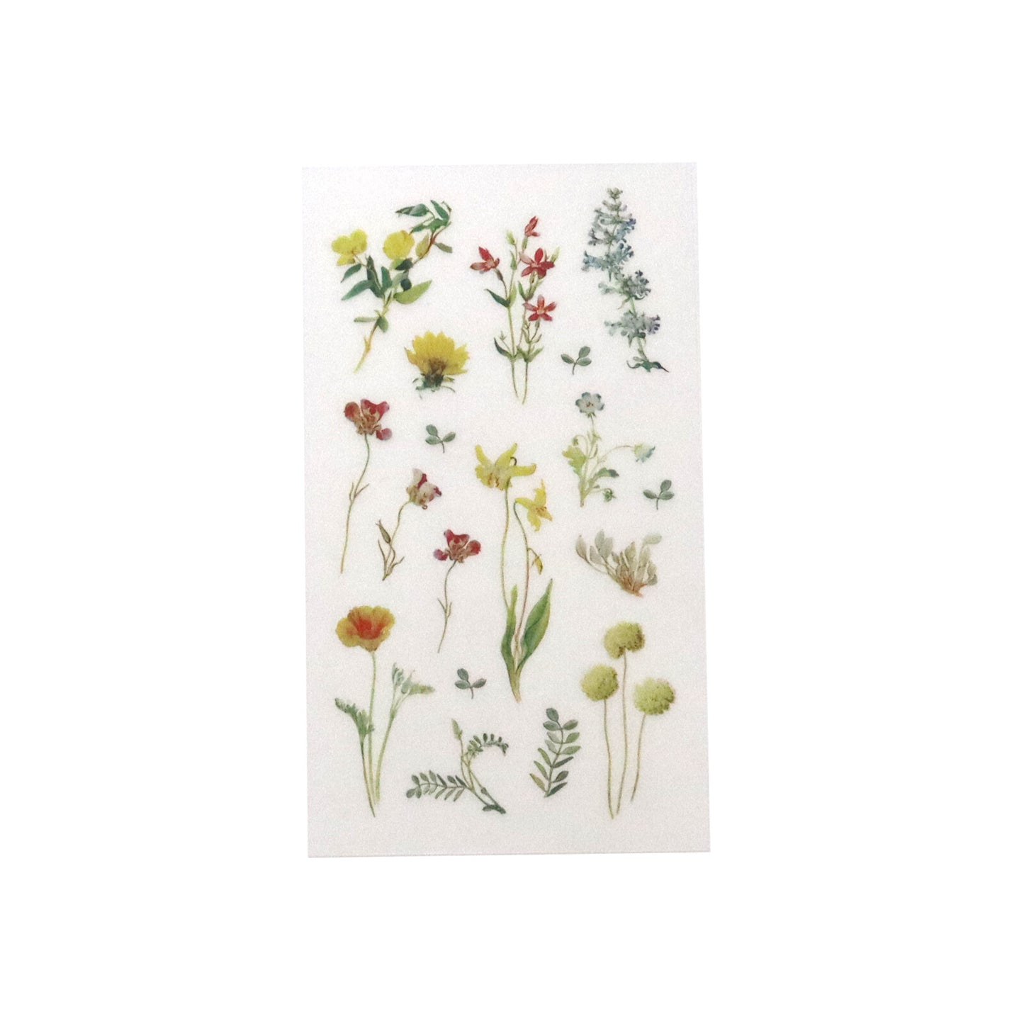 Irodo Paper Transfer Stickers – Wild Flowers