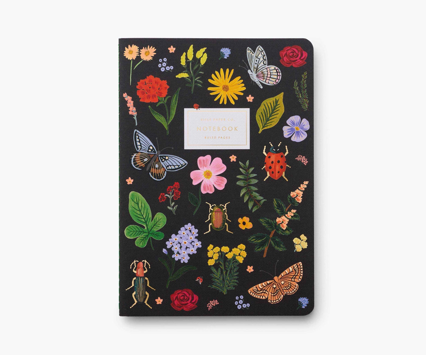 Curio Assorted Set of 3 Notebook
