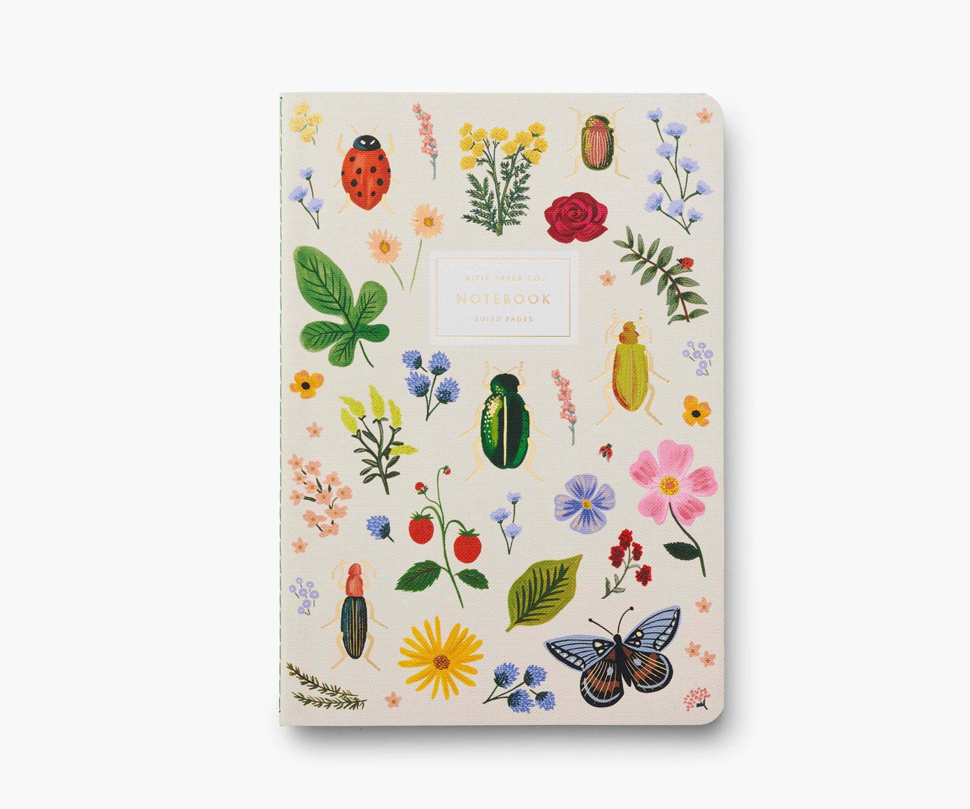 Curio Assorted Set of 3 Notebook