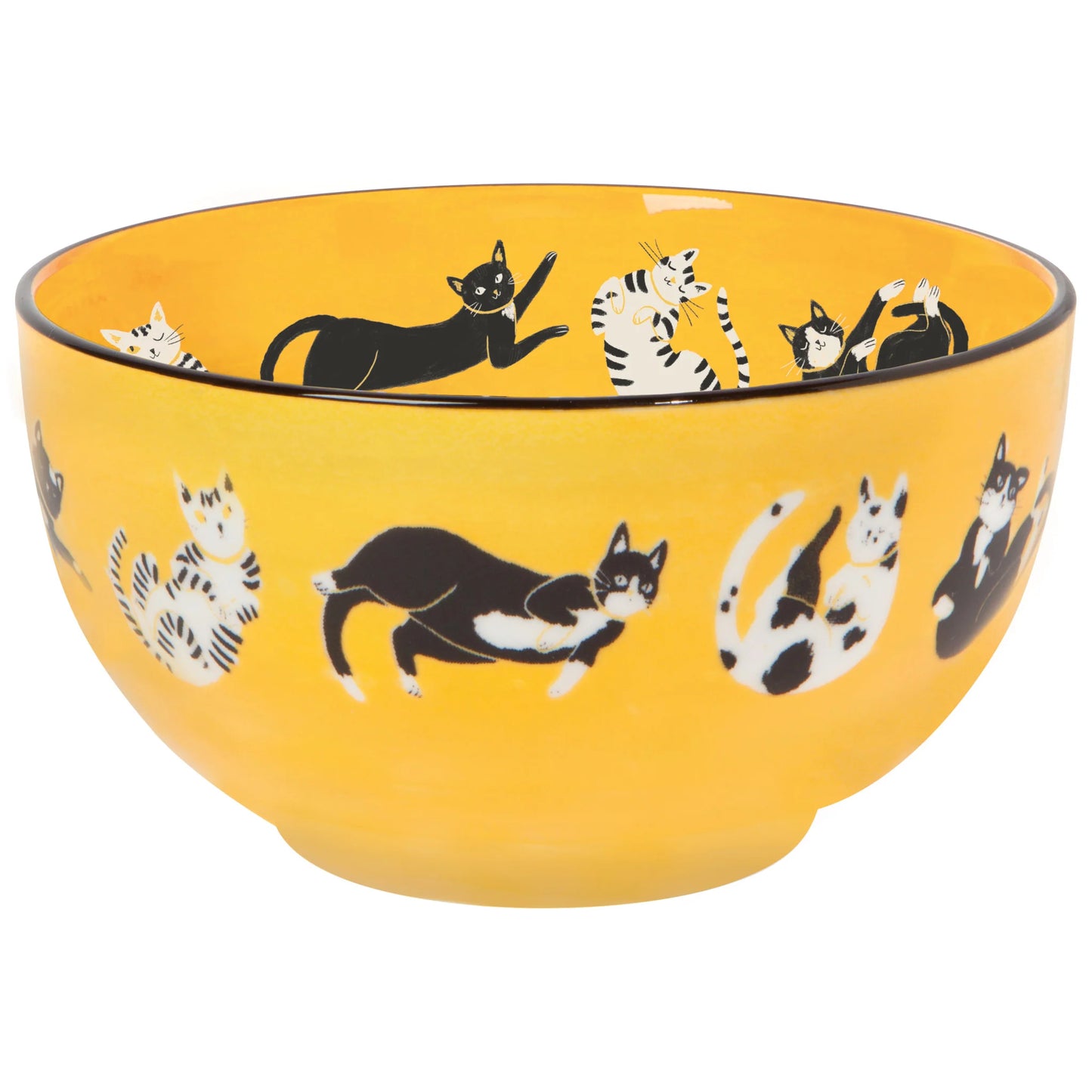 Meow & Furever Everyday Bowls Set of 4 Assorted