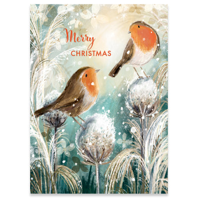 Robins Christmas Card