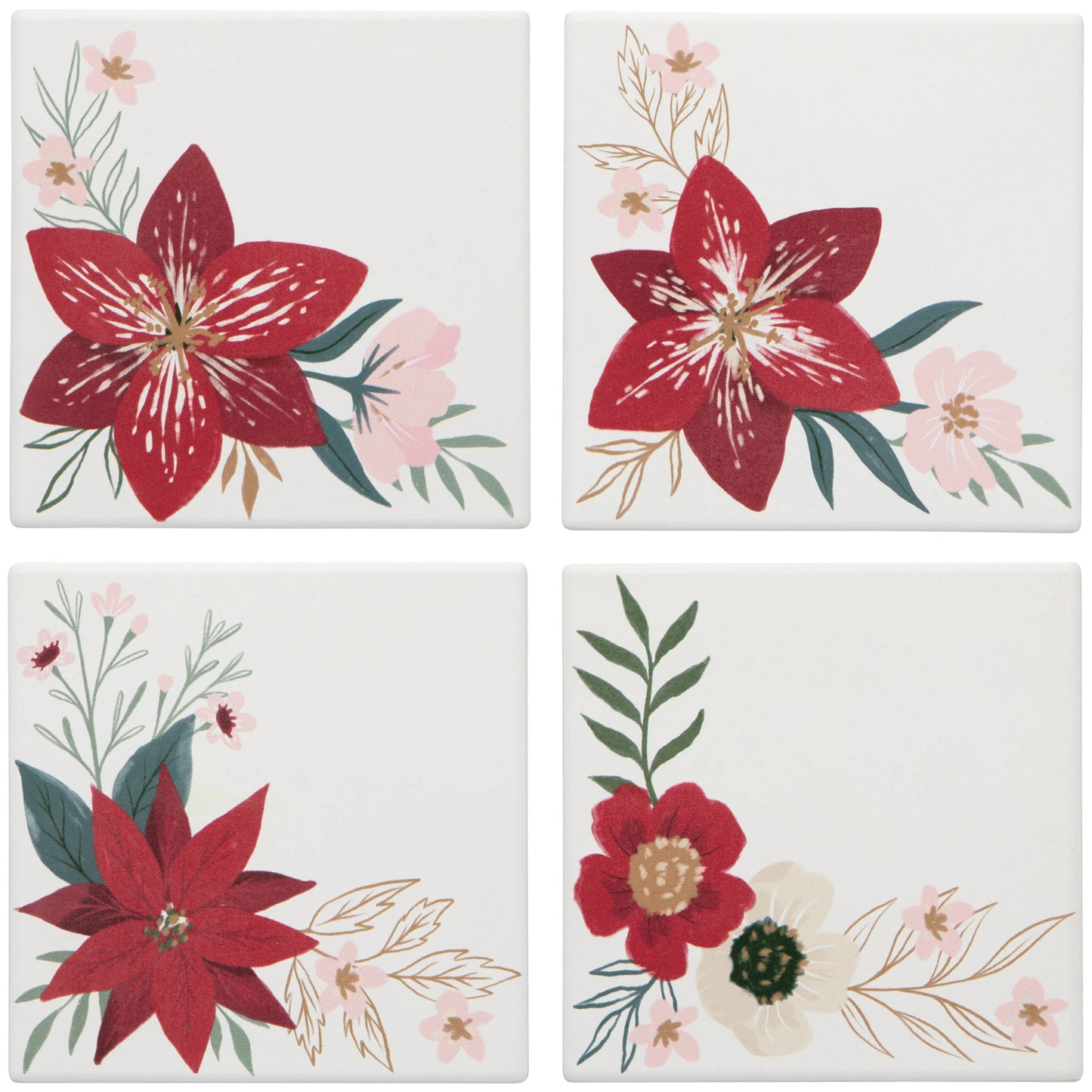 Soak Up Coaster Amaryllis