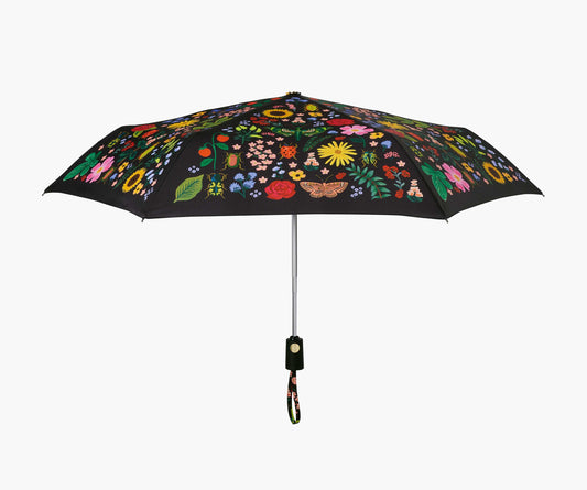 Curio Umbrella