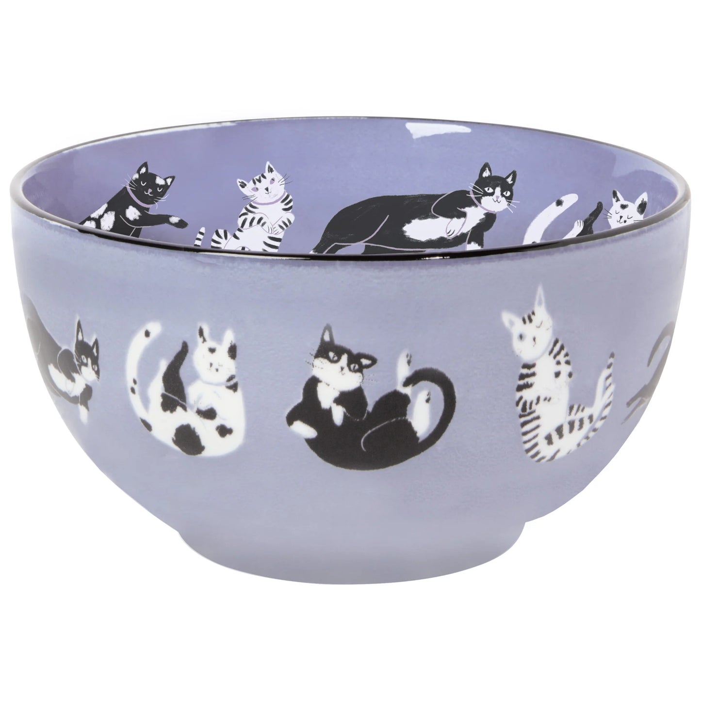 Meow & Furever Everyday Bowls Set of 4 Assorted