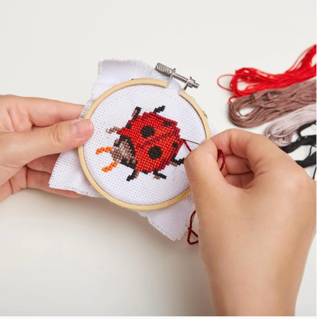 Mini Cross Stitch Embroidery Kit Ladybug