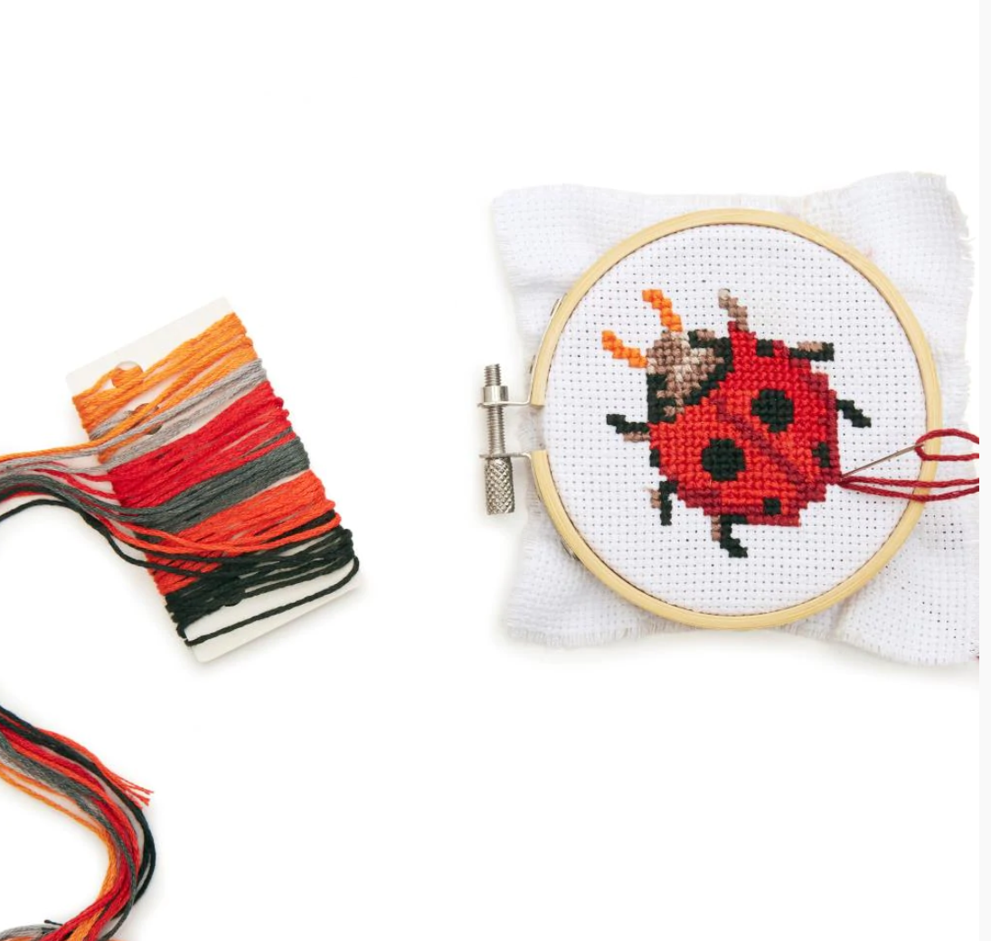 Mini Cross Stitch Embroidery Kit Ladybug