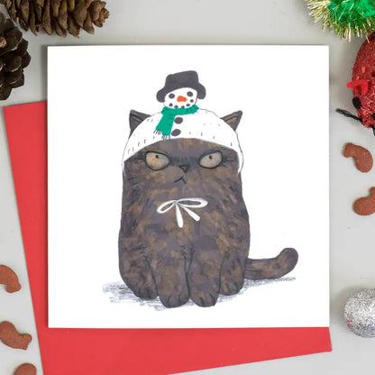 Cats in Christmas Hats 6 Assorted Christmas Cards