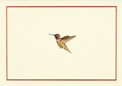 Hummingbird Flight Blank Boxed Cards