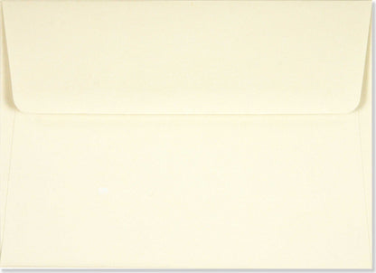 Hummingbird Flight Blank Boxed Cards