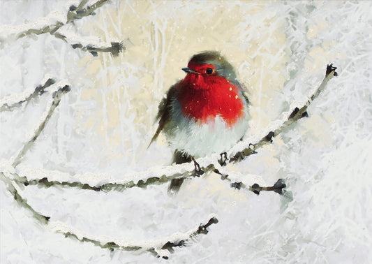 English Robin in Winter Holiday Deluxe Boxed Cards