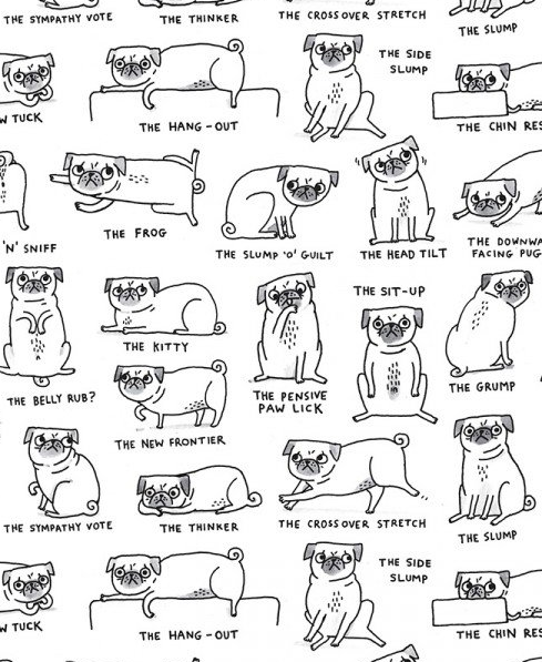 Sheet Single Wrap Pug Positions