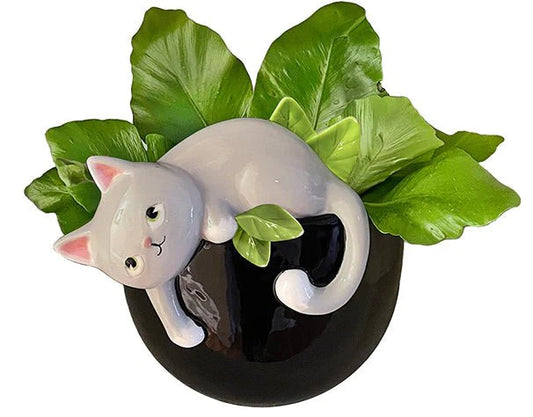 Playful Kitty Planter